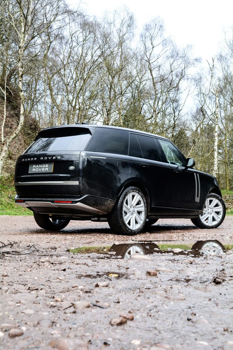 Bird Poo or Etching On Your Paint? Here’s What To Do